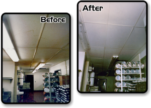 Before and After Cleaning of the Acoustical Ceilings